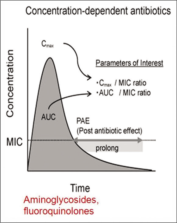 Concentration dependent activity of antibiotics.