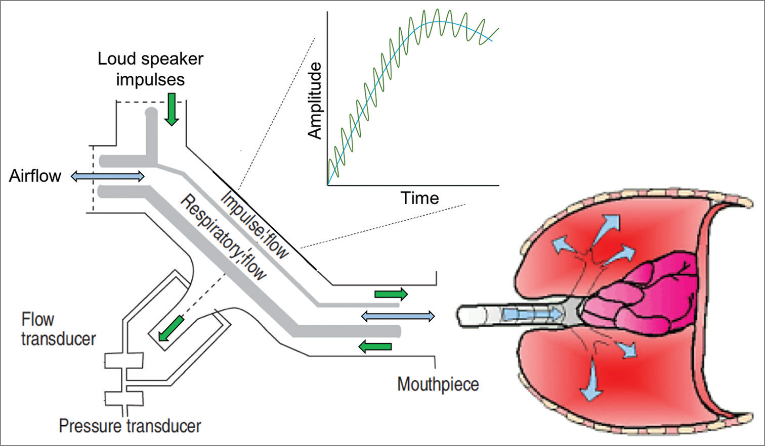 Oscillometry – The future of estimating pulmonary functions - Karnataka ...