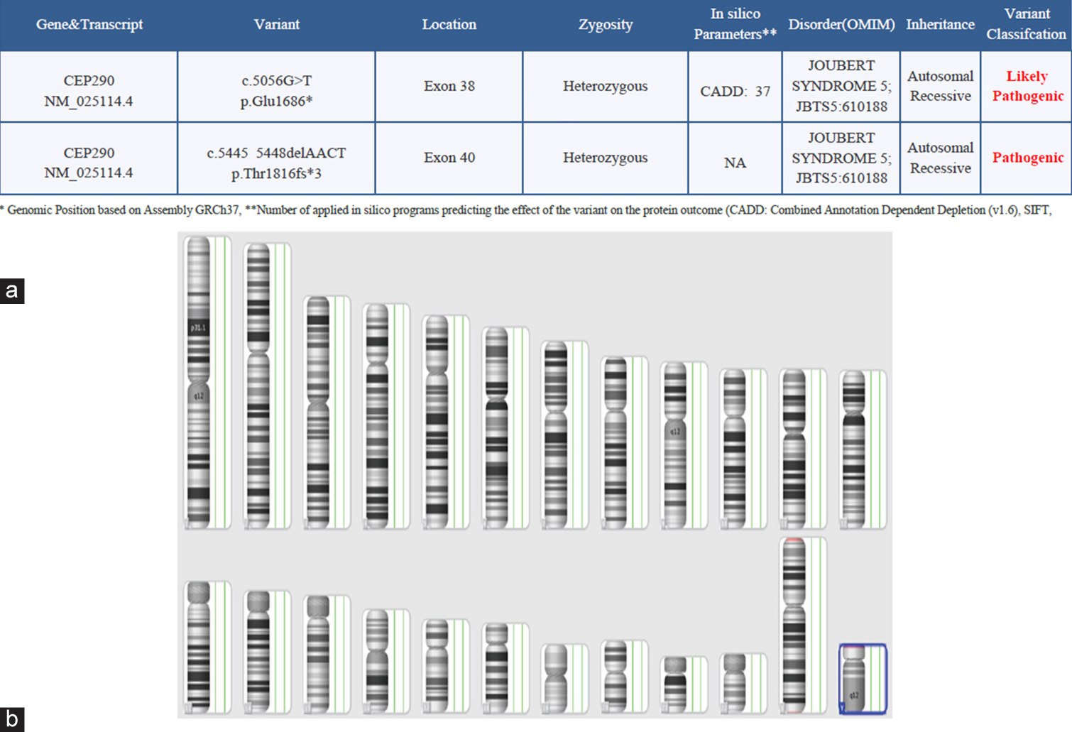 (a) Whole exome sequencing report-suggestive of Joubert syndrome. The genetic report indicating pathogenic gene involvement and (b) chromosomal microarray. Chromosomal involvement is indicated in blue colour. NA: Not applicable, OMIM- Online mendelian inheritance in man. Note: The red highlight indicates the genes mentioned are likely pathogenic and pathogenic variants.