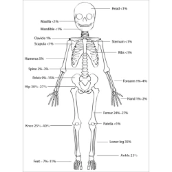 Article figure